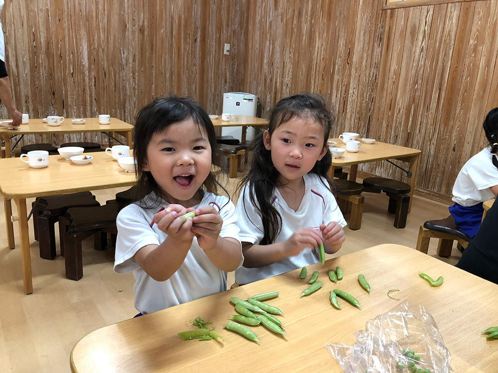 3・4・5歳児のデイリープログラム